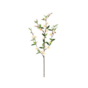 Cherry Blossom Spray Cream