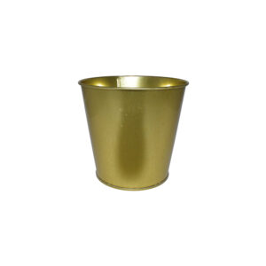 Can Gold M