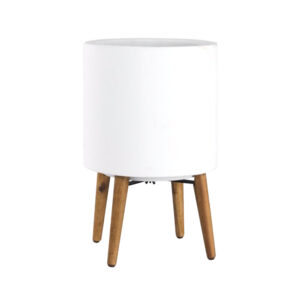 Senegal White