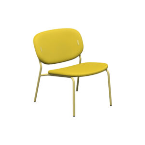 Jesse Low Yellow