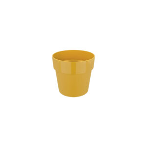Hissa Ochre C