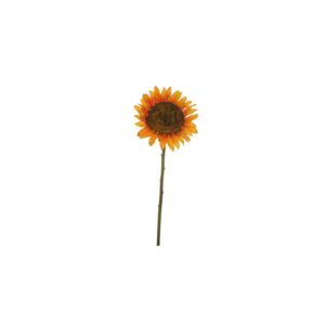 Sunflower S