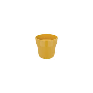 Hissa Ochre D