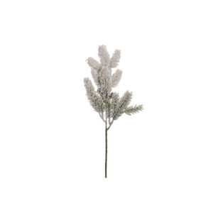 Pine Spray Snowcone