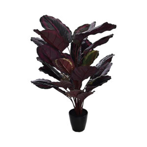 Burgundy Green