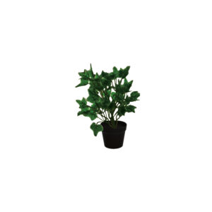 Hedera green pot S