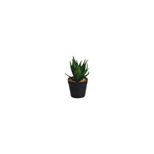 Vetplantje Aloë