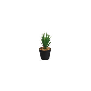 Vetplantje Aloë Arborescens