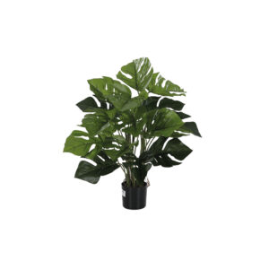 Split Philo Potted Bush